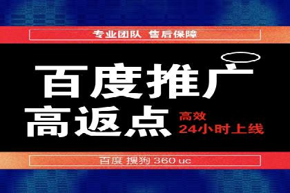 某公司如何利用SEO和SEM提升线上业务——真实案例分析